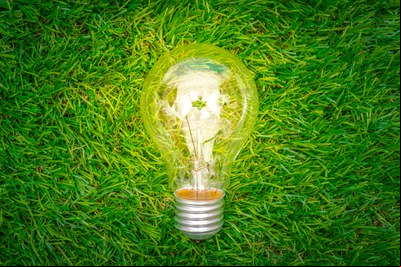 eco-concept-light-bulb-grow-grass.jpg